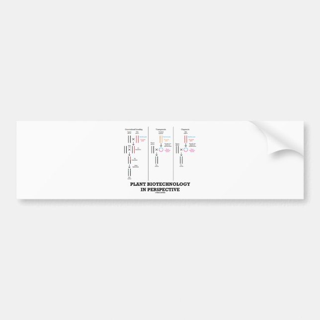 Plant Biotechnology In Perspective (Transgenesis) Bumper Sticker (Front)