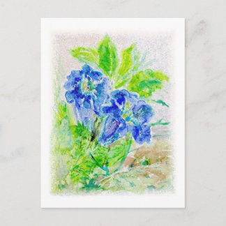 plant blue flower illustration postcard