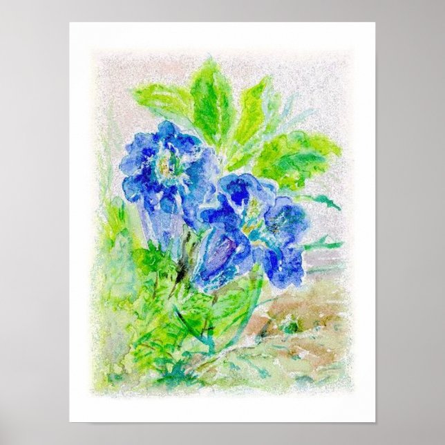 plant blue flower illustration poster (Front)