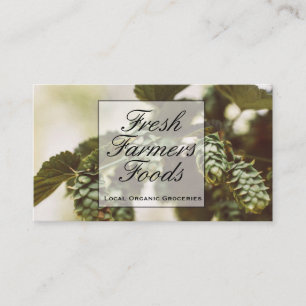 Plant Buds   Barley Wheat Hops Business Card