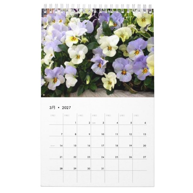 Plant Calendar 2017 (Mar 2027)