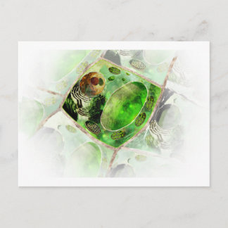 plant cell2 postcard