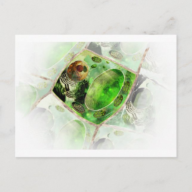 plant cell2 postcard (Front)