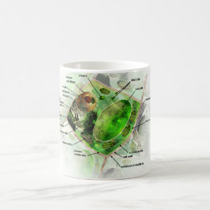 plant cell coffee mug
