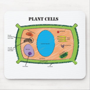 Plant Cell Diagram Mouse Mat