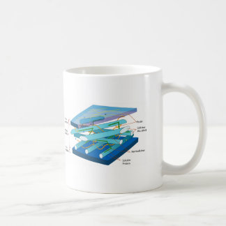 Plant cell wall diagram coffee mug