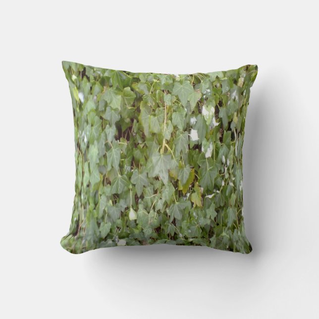 Plant covering stone wall cushion (Front)