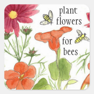 Plant Flowers For Bees Nasturtium Flowers Square Sticker