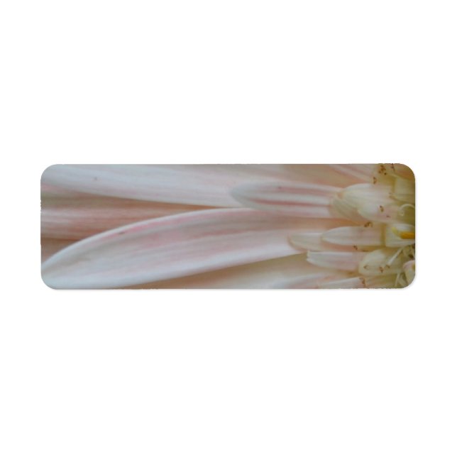 Plant for the Cure Flower (Front)