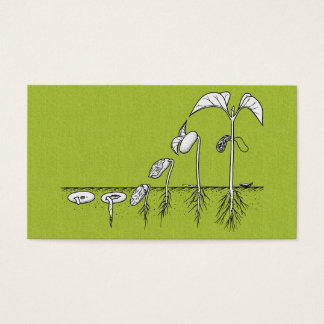 Plant Germination Illustration