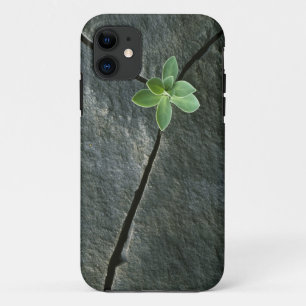Plant Growing in Cracked Boulder iPhone 11 Case