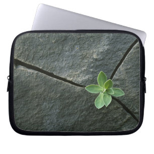 Plant Growing in Cracked Boulder Laptop Sleeve