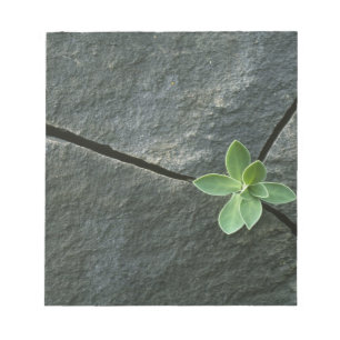 Plant Growing in Cracked Boulder Notepad