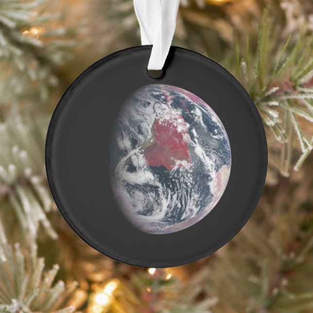 Plant Growth On Planet Earth. Ornament (Tree)