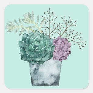 Plant Happiness Collection   Succulents Square Sticker