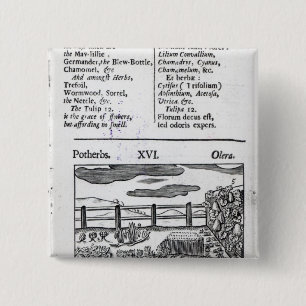 Plant Husbandry from 'Orbis sensualism pictus' 15 Cm Square Badge