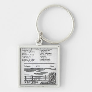 Plant Husbandry from 'Orbis sensualism pictus' Key Ring