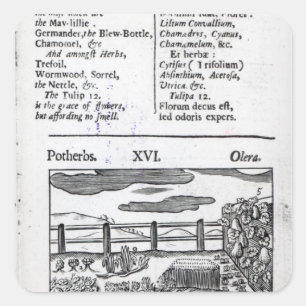 Plant Husbandry from 'Orbis sensualism pictus' Square Sticker