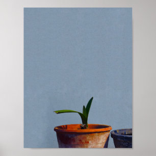 Plant in Pot Poster