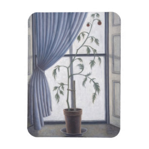 Plant in Window 2003 Magnet