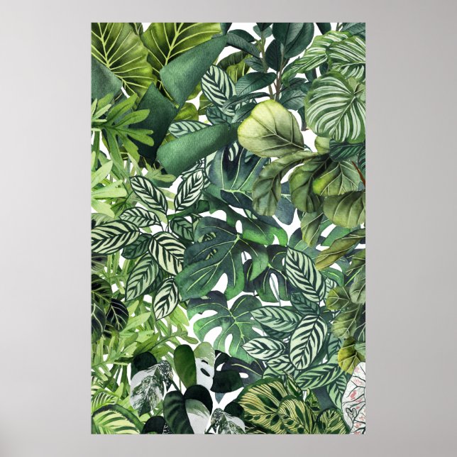 Plant leaves poster (Front)