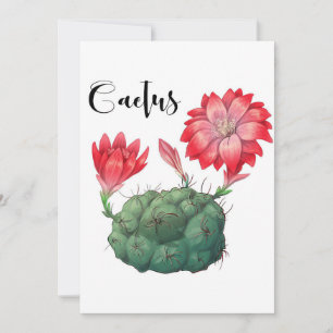 Plant Lover Cactus Plant Thank You Card