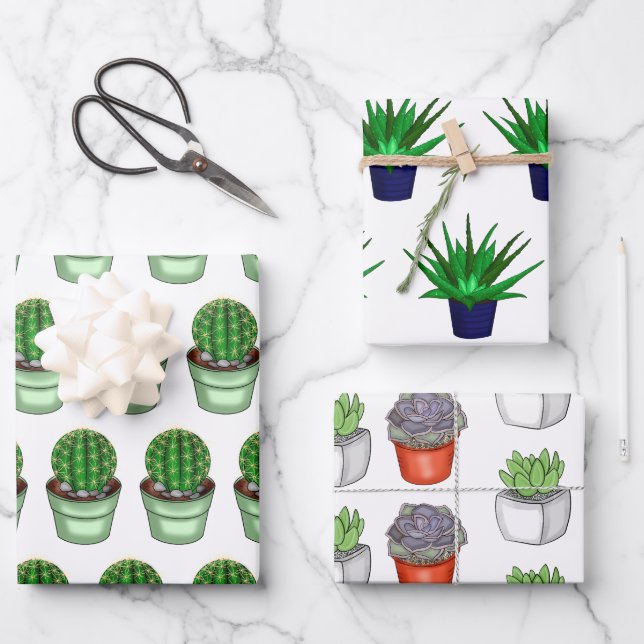 Plant Lovers Hand Drawn Cacti and Succulents Wrapping Paper Sheet (Front)