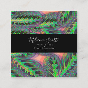 Plant Maranta Prayer Calathea Illustration Square Business Card