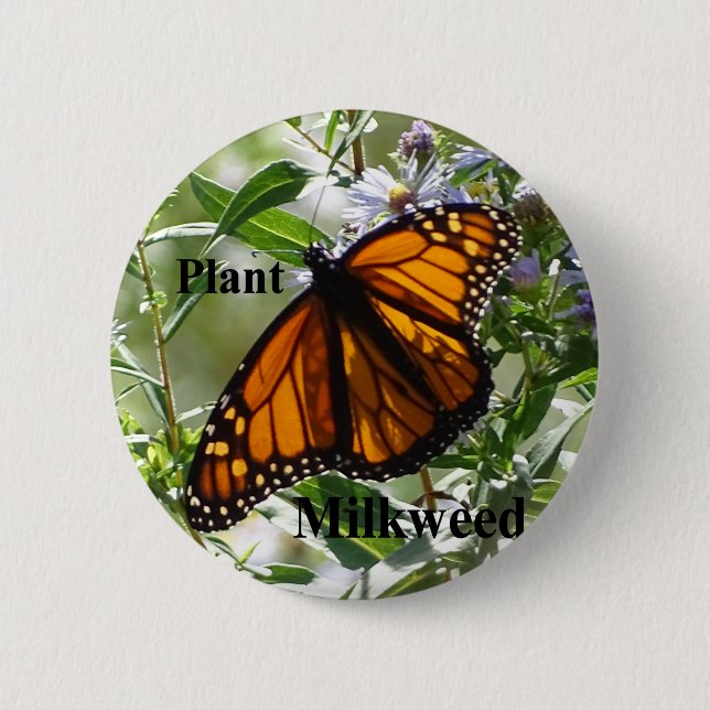 Plant Milkweed 6 Cm Round Badge (Front)