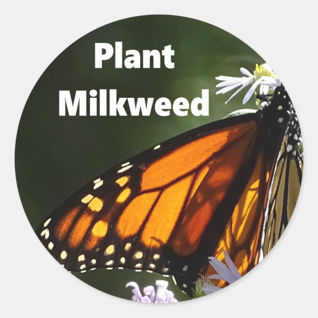 Plant Milkweed Classic Round Sticker (Front)