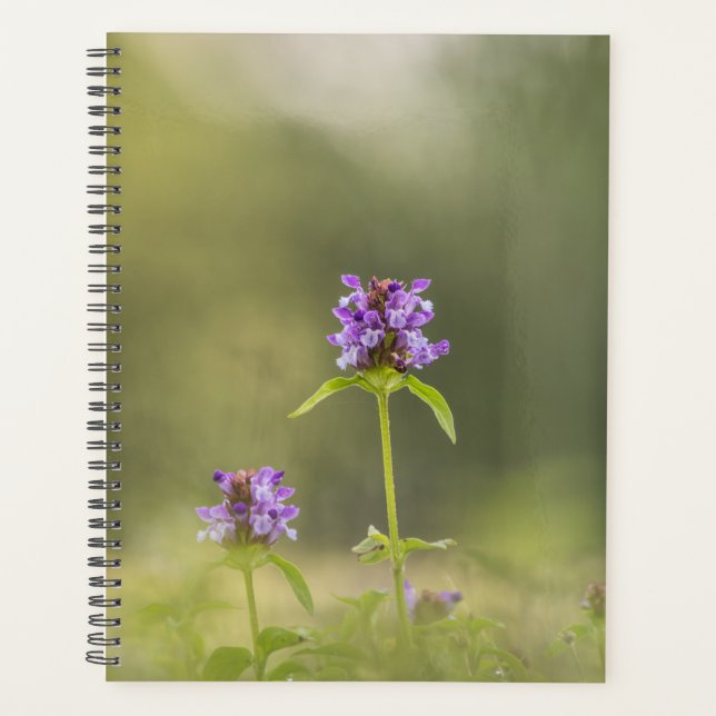 Plant Nature Photo Planner (Front)