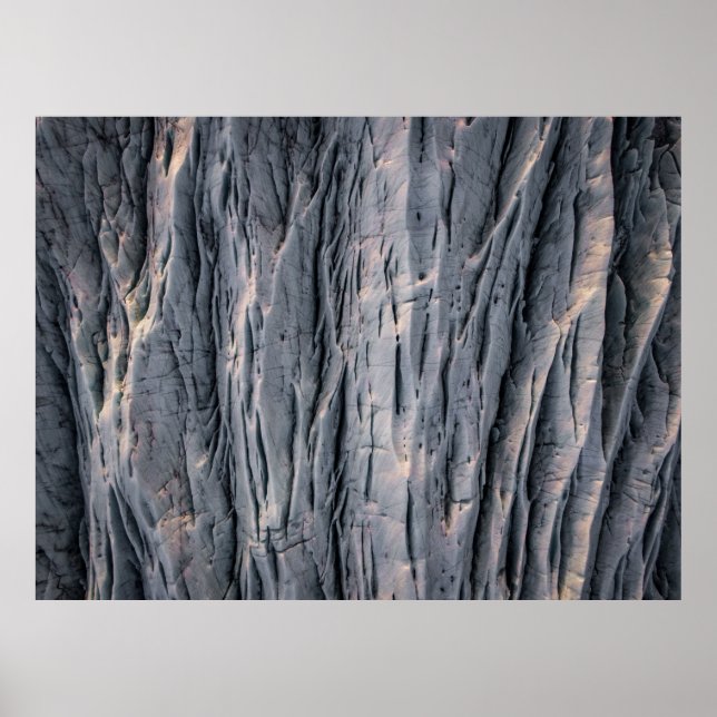 Plant Poster (Front)