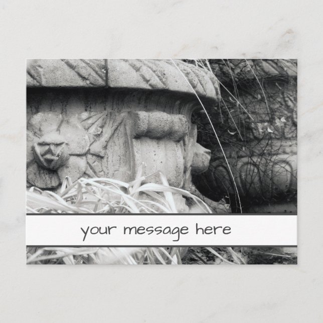 Plant Pots Early Spring Black White Custom Message Postcard (Front)