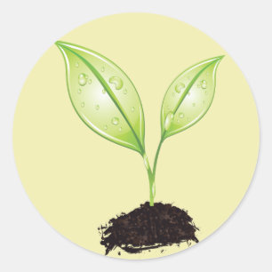 Plant ~ Seedling Green Earth Leaf & Root Seed Classic Round Sticker