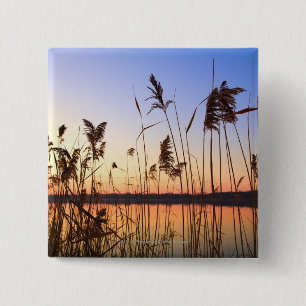 Plant Silhouette by Lakeside sunset 15 Cm Square Badge