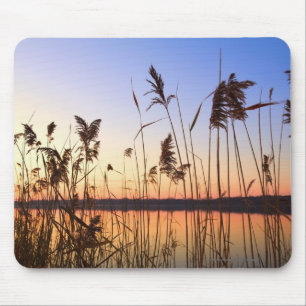 Plant Silhouette by Lakeside sunset Mouse Mat