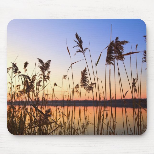 Plant Silhouette by Lakeside sunset Mouse Mat (Front)