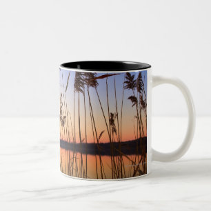 Plant Silhouette by Lakeside sunset Two-Tone Coffee Mug