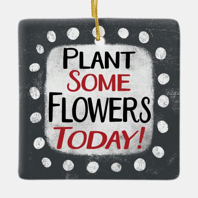 Plant Some Flowers Today Ornament (Front)