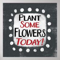 Plant Some Flowers Today Poster Wall Art