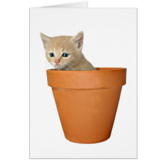 Plant some love