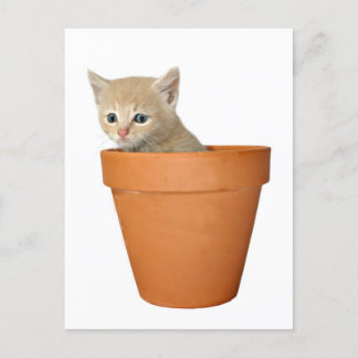Plant some love postcard