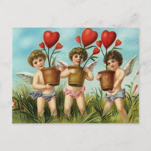 Plant Some Love Valentine Postcard
