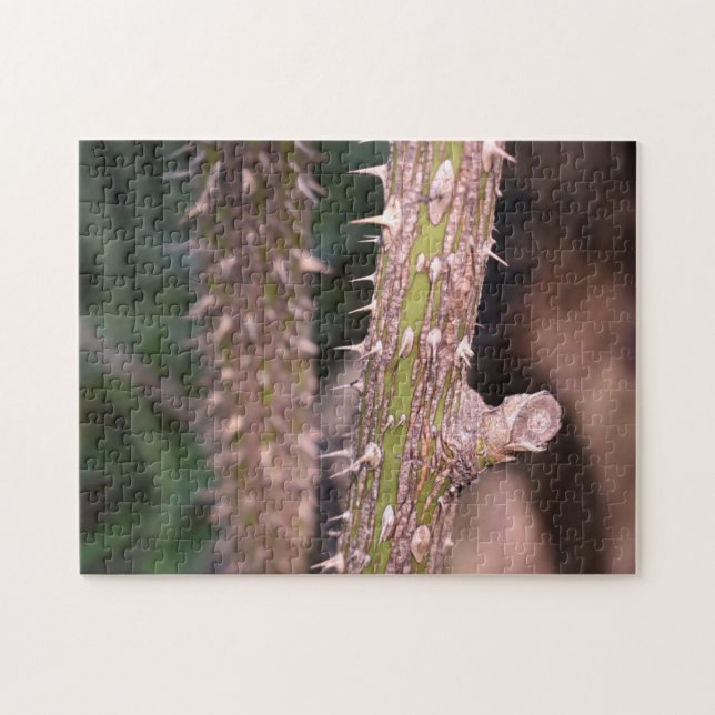 Plant Stem Thorns Nature Park Photography Jigsaw Puzzle (Horizontal)