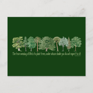 Plant Trees Postcard
