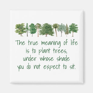 Plant Trees Shade Meaning of Life Environmental Ma Magnet