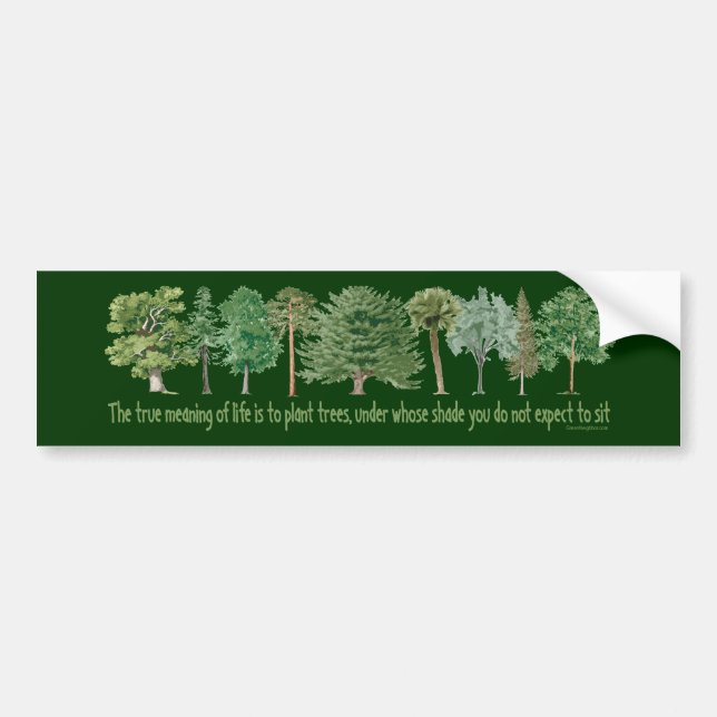 Plant Trees - Tree Lover, Hugger Bumper Sticker (Front)