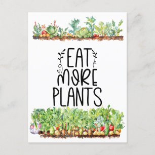Plant Veggie vegetable Vegetarian  Postcard