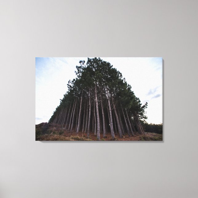 Plantation Canvas Print (Front)