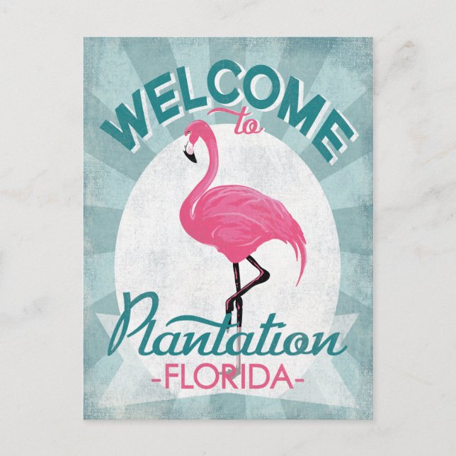 Plantation Florida Pink Flamingo Retro Postcard (Front)